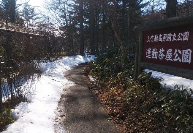 自然を手軽に味わえそうな公園