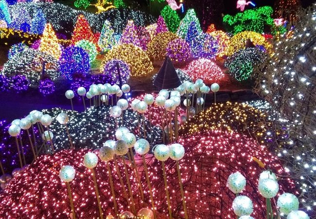 アチムゴヨ樹木園