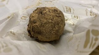 シナモンクラップフェン！