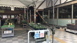 朝からにぎわってる