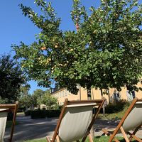 朝から仮眠。最高のロケーションでした