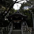 樹木神社