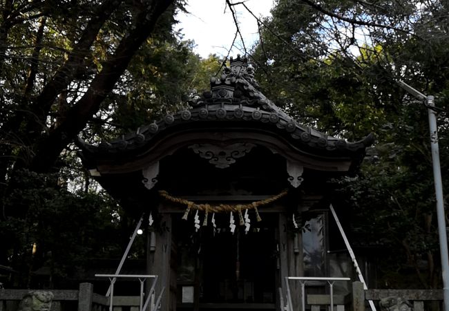 樹木神社