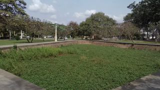 大コウモリもいるよ