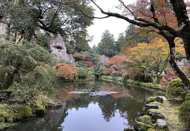 小松の紅葉 クチコミ人気ランキング フォートラベル 石川県