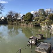 学芸大そばの目黒区碑文谷公園弁天池へ