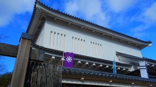 嬉しいことに無料でした