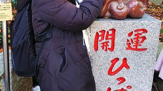 たこ杉とコラボ