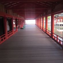 早朝の厳島神社、空いていて快適です！