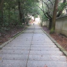 できれば、時間を確保して島内の遊歩道も色々と歩いてみましょう