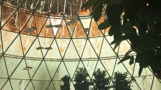 ケバブズ アンド カリーズ