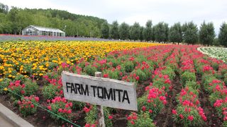 ラベンダー以外の時期も楽しめます