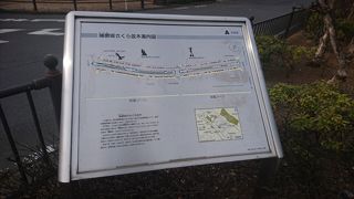 さくら祭りも開催されます