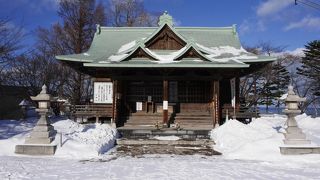 小樽港がきれいに見えます