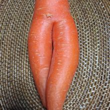 何だか色っぽい人参も入っていて楽しい!