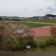 多数の競技場がある運動公園