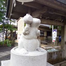 狛ねずみ（メス）