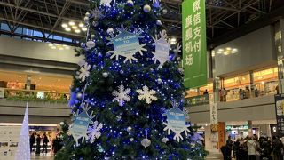 何度行っても舞いあがる！