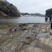 水彩画 小網代湾(三浦半島) 一泊二日のスケッチ旅行《小網代湾》 -Two-day sketch trip