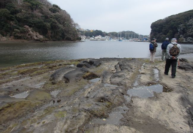 小網代湾 クチコミ アクセス 営業時間 三浦海岸 三崎 フォートラベル