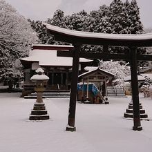 広い境内の新雪の景色がキレイ♪