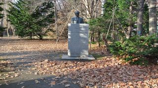 北大キャンパス、ポプラ並木の横