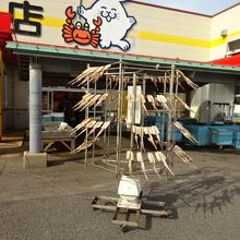 店の外で販売されていたイカ