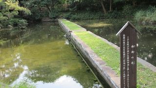 田舎の田んぼのあぜ道のような道で、手すりもないので通行禁止。