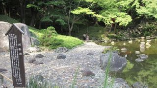 川というより沢と呼ぶ方が相応しい小さな流れでした。