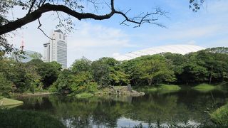 小石川後楽園を代表する景観を形作っていました。