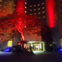 夜はライトアップ