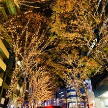 この季節でもイルミネーションがありました