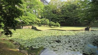陽射しを浴びてまばゆいばかりに輝く芝生が広がっていました。