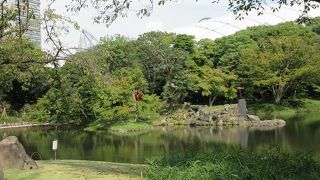 島には岩に見立てた大きな石も置かれ、箱庭のような楽しさがありました。