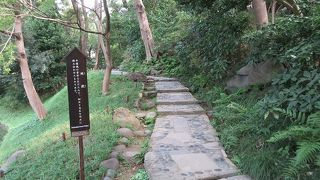 凹凸が少なくて歩きやすく感じる石畳。