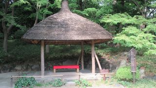 お茶を飲みながら団子を食べたら風流でしょうね。