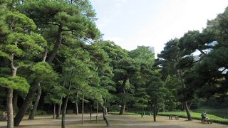 のびやかで雄々しささえも感じられて気に入りました。