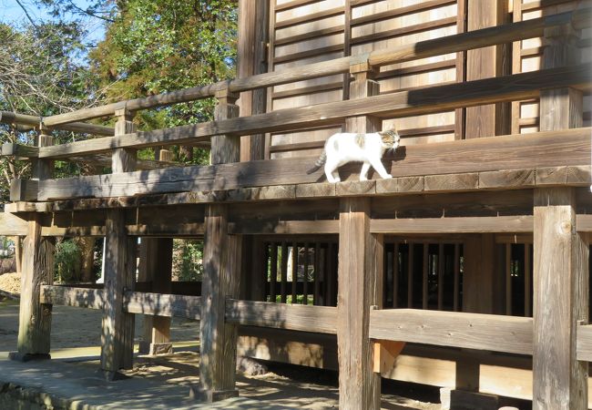 「たちばなじんじゃ」と読みます