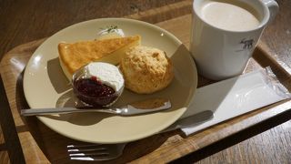 ショウゾウ シラカワ 水辺のコーヒー