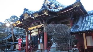 164センチの等身大