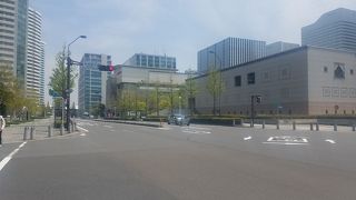 いちょう並木なので黄葉の時期も楽しみ