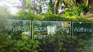 必見。無料の施設です。