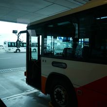 バス