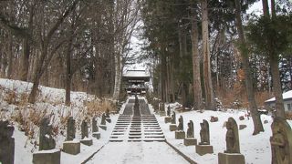 趣のある山門と参道につられて入っていくと、ギャップのある本堂にびっくり