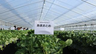 1700円の価値があるのか？？