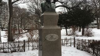 雪の中、大学構内を歩いて見つけました。