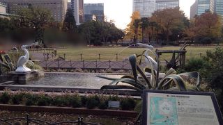 芝生の広場みたい