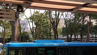 路線も豊富です。