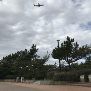 飛行機が間近で見える公園