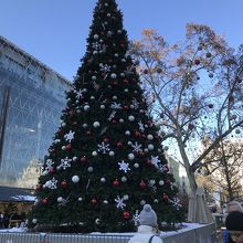 ヴルシュマルテ広場のクリスマスツリー